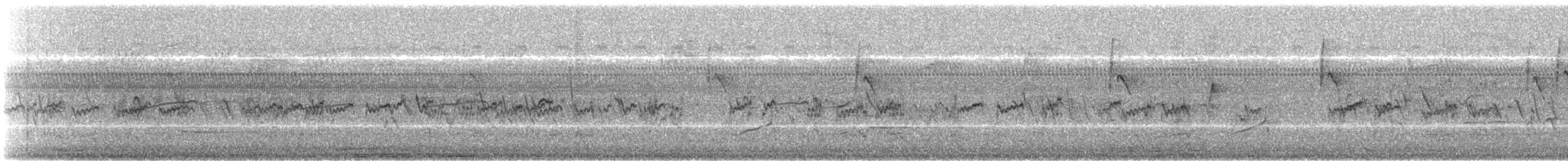 Bécasseau minuscule - ML642377357