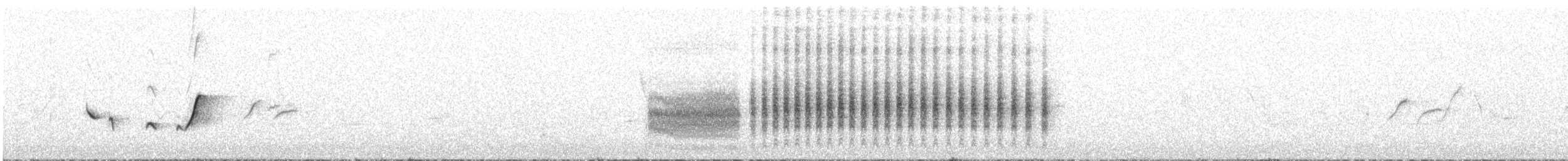 sørkrattskvett - ML642377486