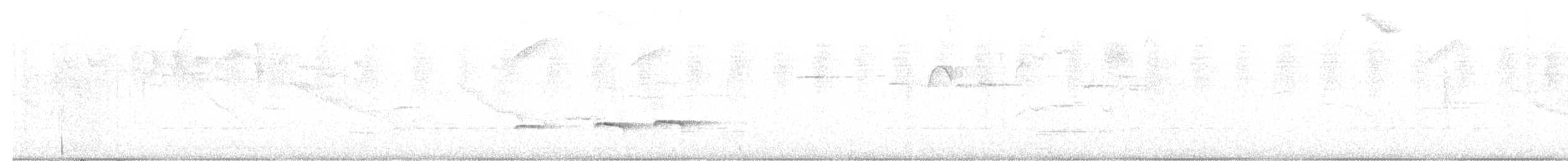 cundinamarcamaurpitta - ML642377631