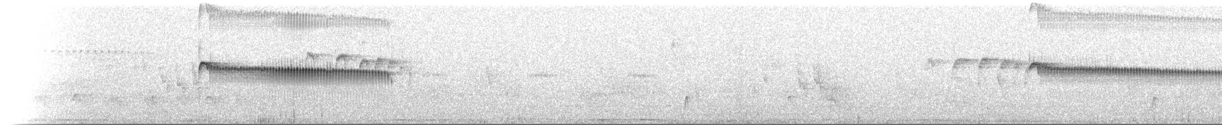Plain Tyrannulet - ML642377716