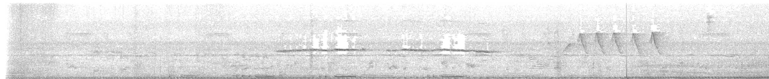 カワラバト - ML642378339