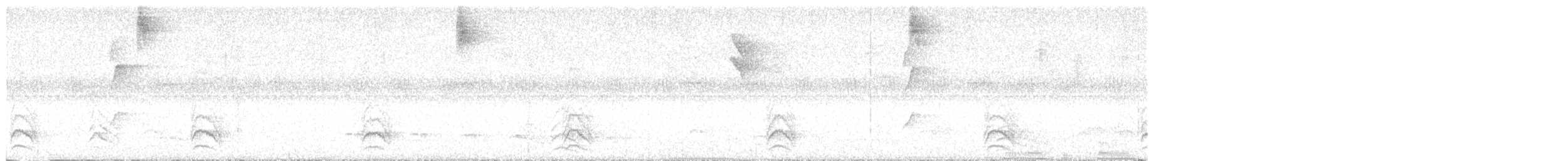 Olivgrau-Ameisenvogel - ML642378391