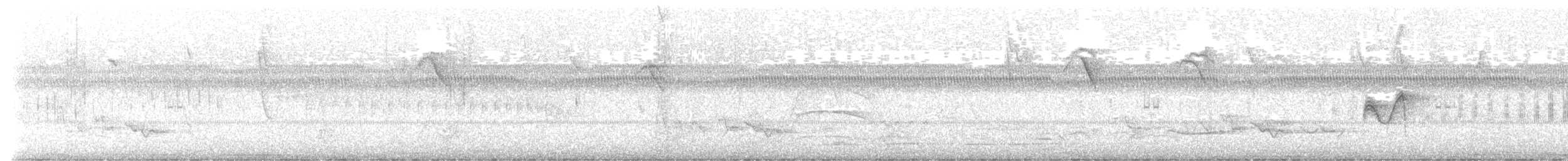 Greenish Elaenia - ML642378741