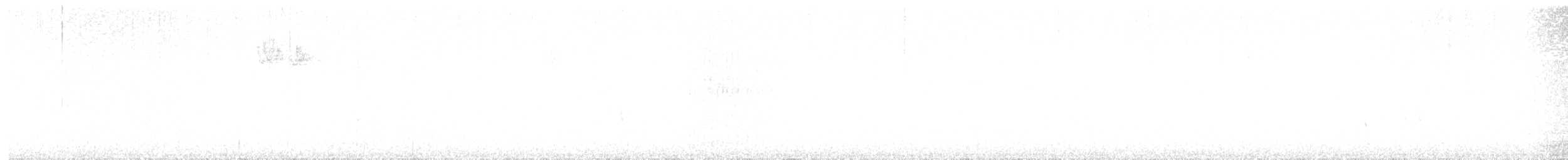králíček obecný - ML642379200