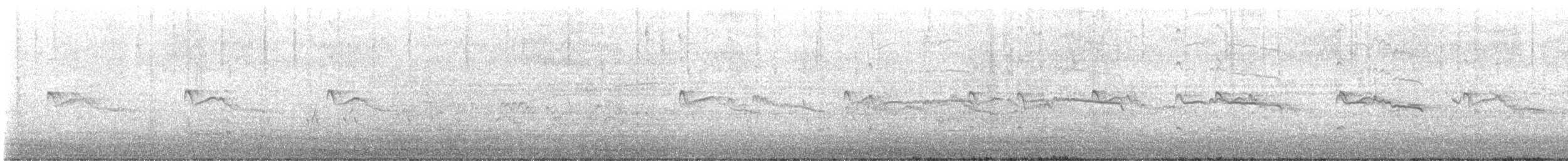 Kildir txirritxoa - ML642379711