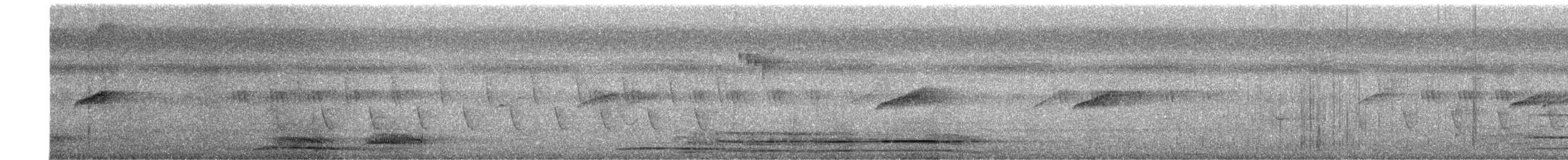 鵲鴝 - ML642379986