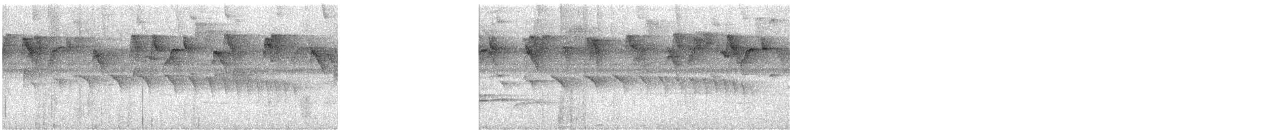 Dot-winged Antwren - ML642380396
