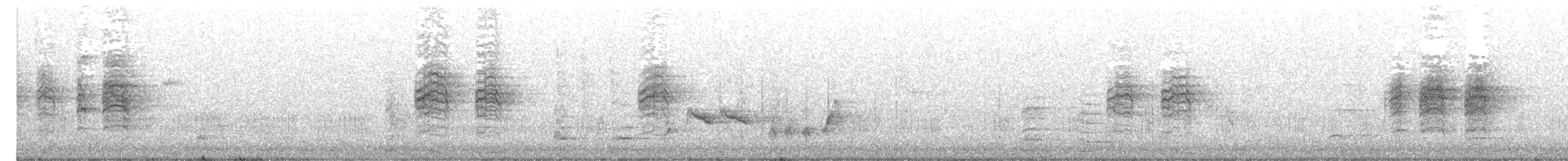 Australasian Grebe - ML642381721