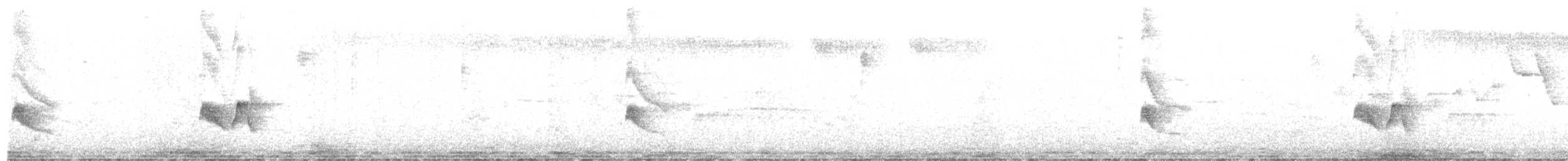 Euler's Flycatcher - ML642382544
