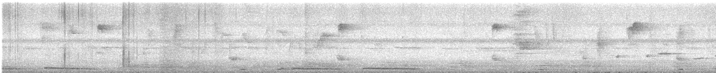 Abanico Pechipinto - ML642382860