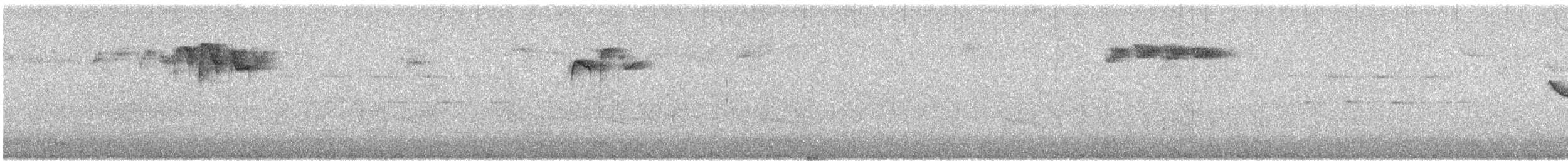 fuglekonge - ML642383129