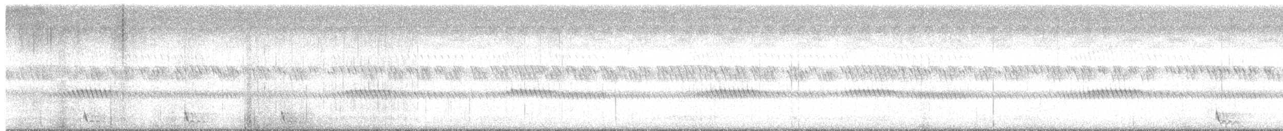 Large-tailed Nightjar - ML642383155