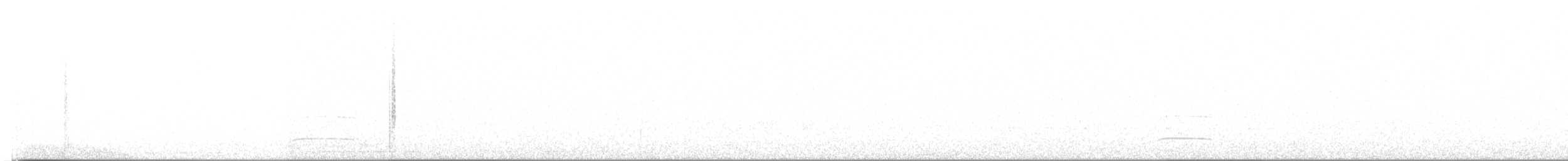 Swainson Sinekkapanı - ML642383899
