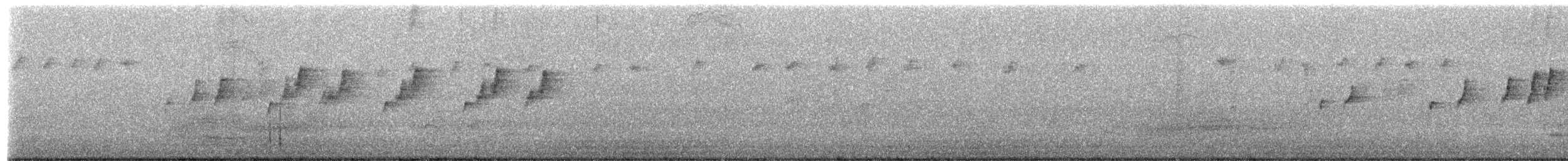 Brown Gerygone - ML642384349