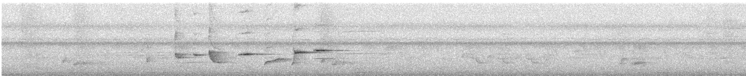 Abanico Pechipinto - ML642384396