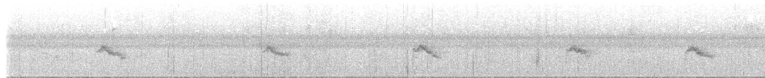 Gray-cheeked Thrush - ML642385160