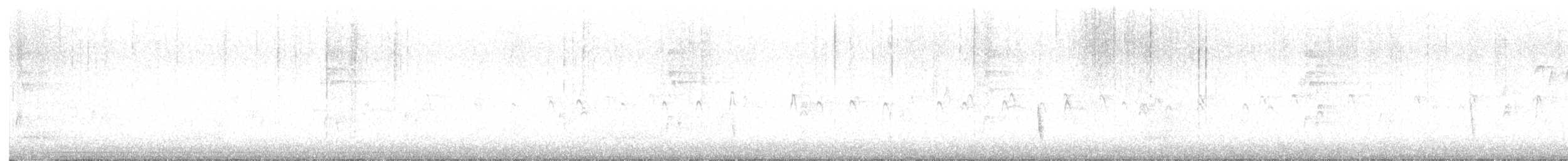 Hermit Thrush - ML642385227