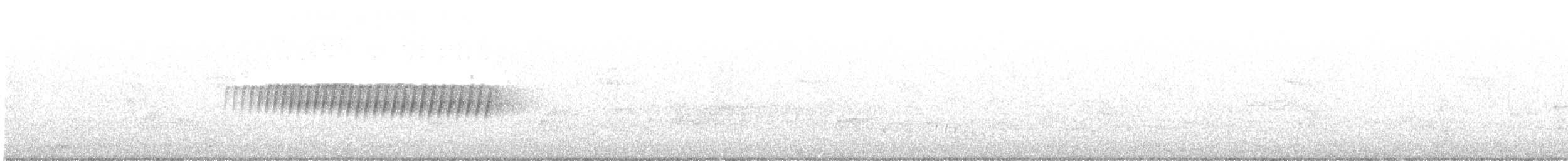 Kiefernwaldsänger - ML642387218