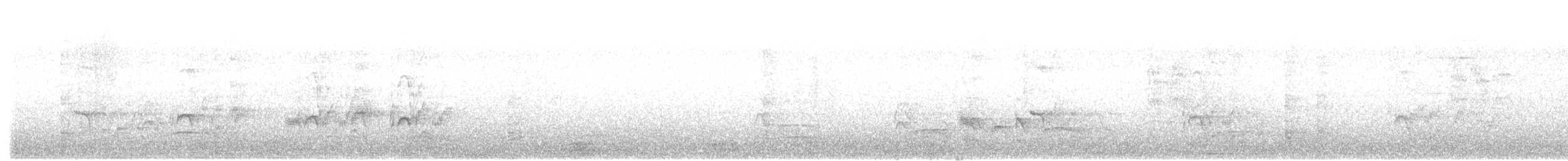 Tyran pitangua - ML642389729