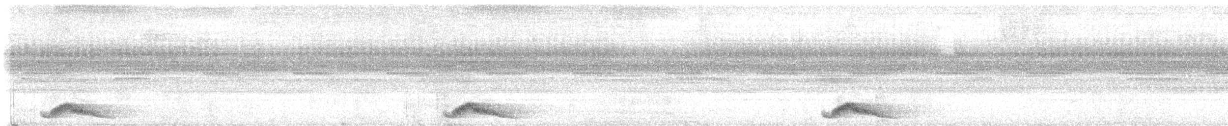 pauraquenattravn - ML642390615