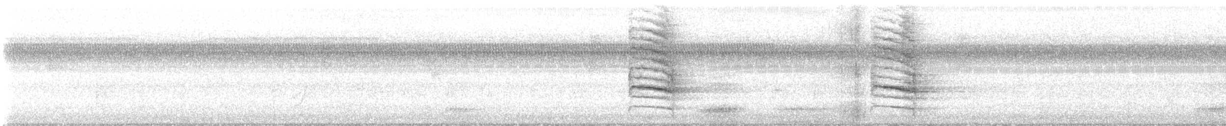 Сизойка блакитна - ML642392913