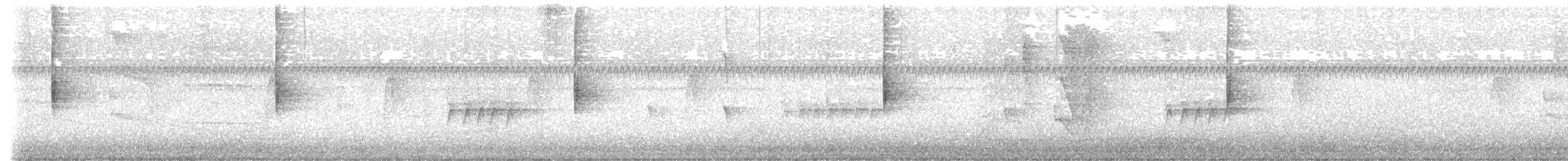 Louisiana Waterthrush - ML642392972