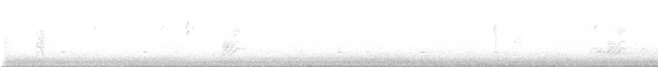 Woodhouse's Scrub-Jay - ML642393373