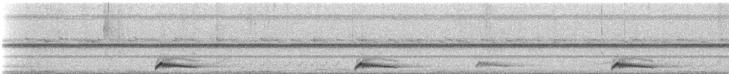 Engoulevent ocellé - ML642393414