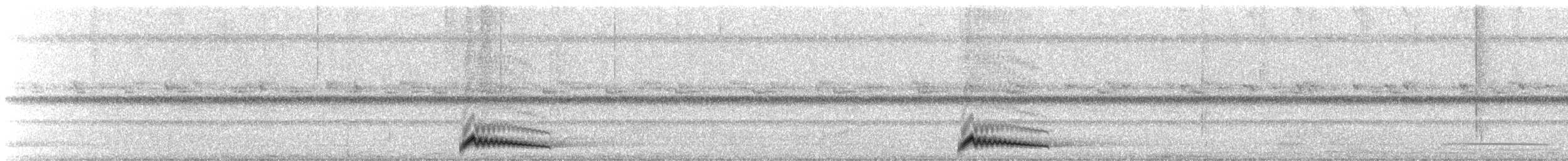 Engoulevent ocellé - ML642393415