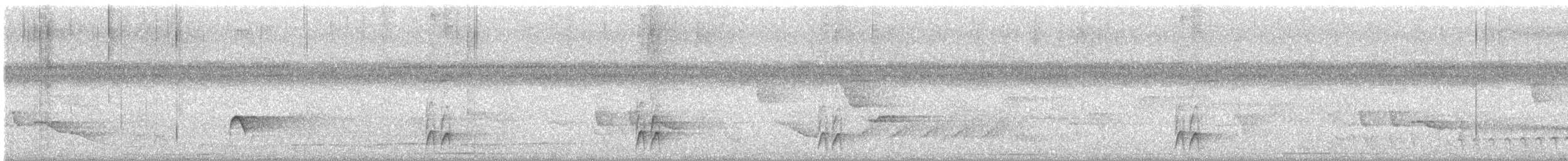 Bleigrau-Ameisenvogel - ML642393957