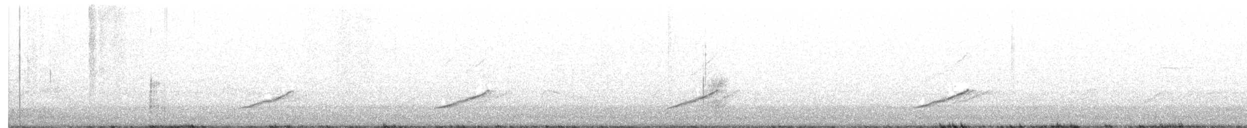 Northern Mockingbird - ML642394189