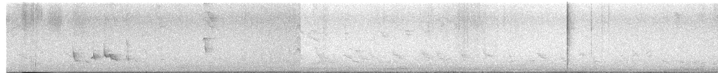 Tropical Mockingbird - ML642394300
