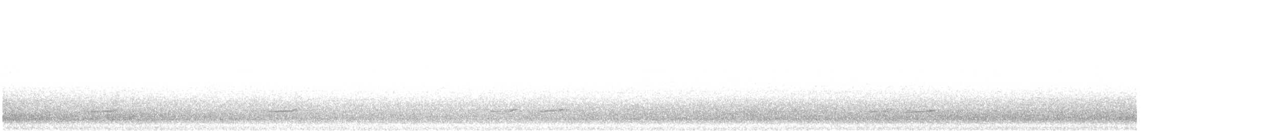 Courlis cendré - ML642394481