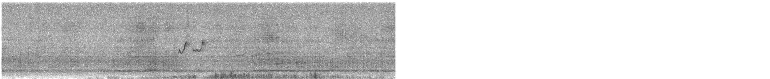 Solitary Sandpiper - ML642395412