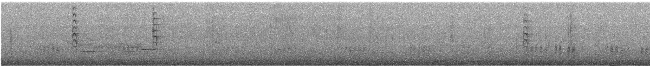 Cyanoramphus sp. - ML642396793