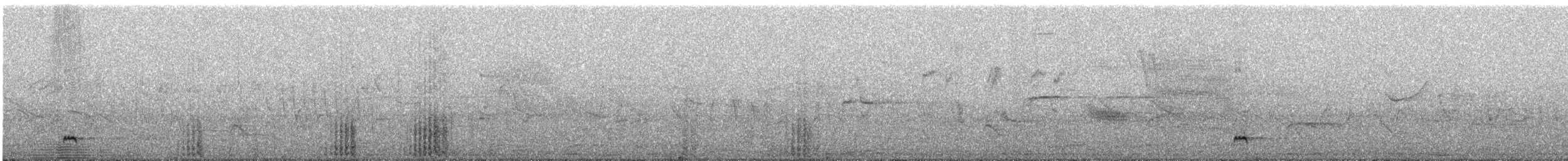 Yellow-billed Pintail - ML642397351