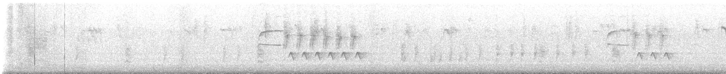 Troglodyte de Bewick - ML642397533