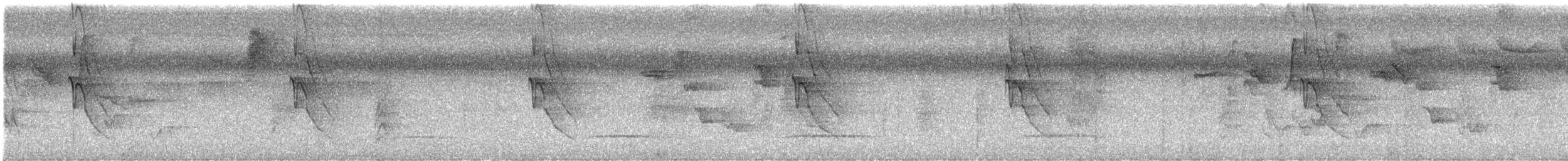 Social Flycatcher - ML642398901