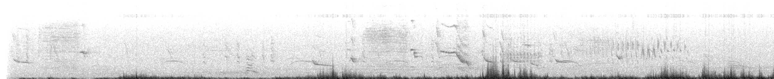 Austral Blackbird - ML642400657