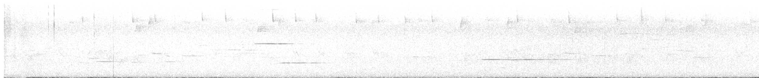 Black-faced Solitaire - ML642400812