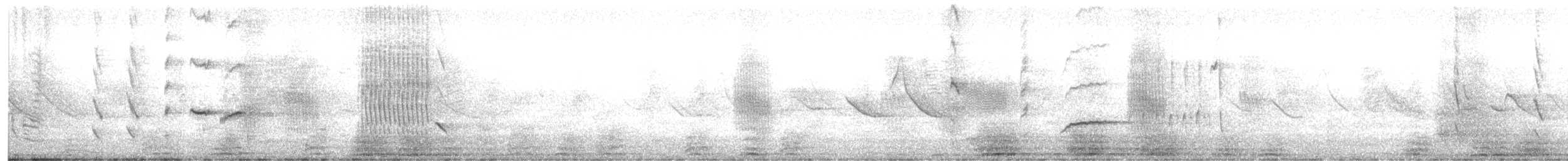 Austral Blackbird - ML642400932