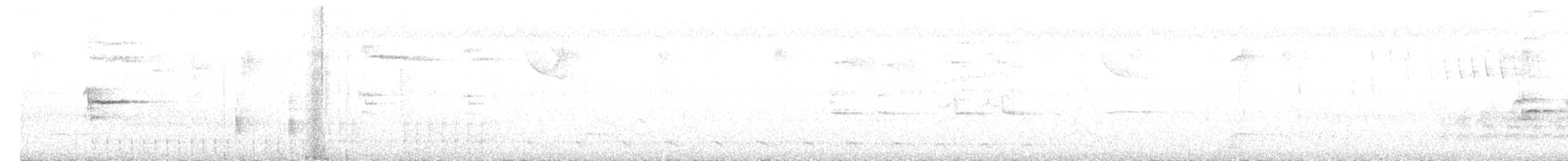 brasilskifertrost - ML642401794