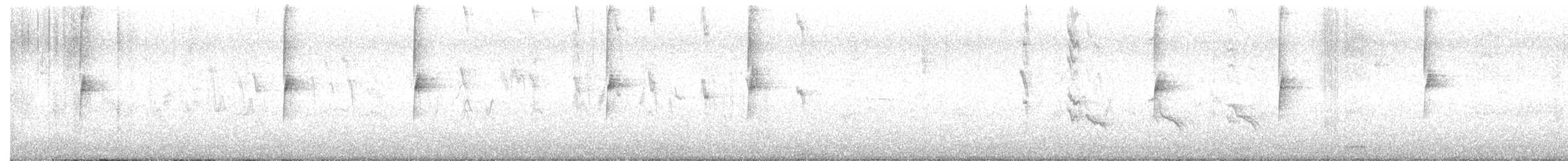 White-crowned Sparrow (Gambel's) - ML642402307