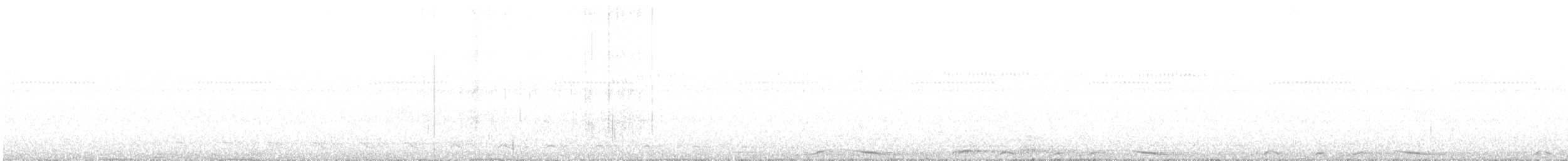 Pale-vented Pigeon - ML642402848