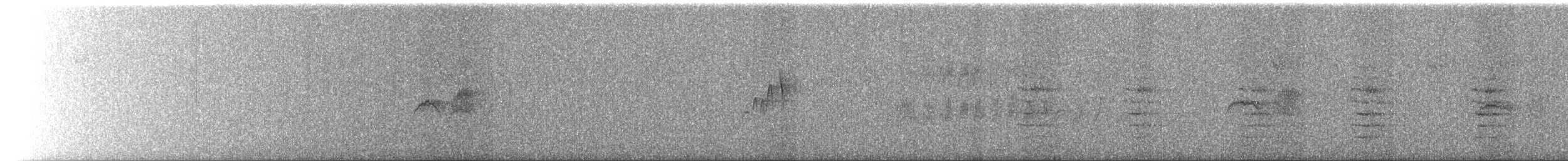 Eastern Phoebe - ML642405060