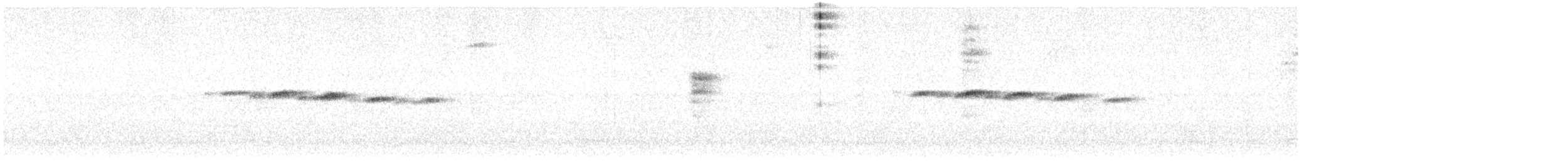 Squamate Antbird - ML642405627