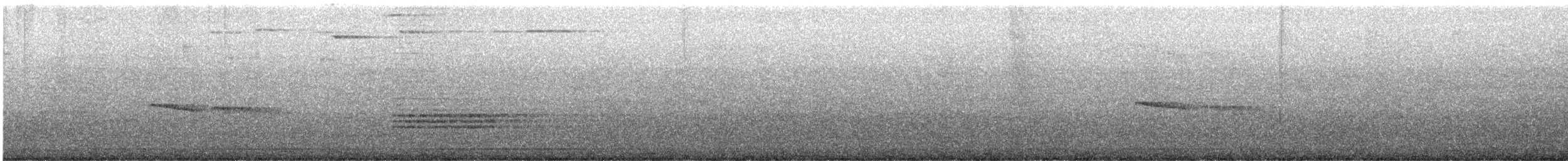 Southern Beardless-Tyrannulet - ML642406099