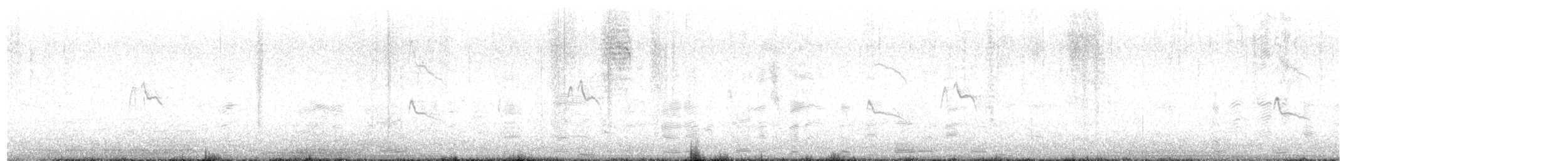 Black Phoebe - ML642407253