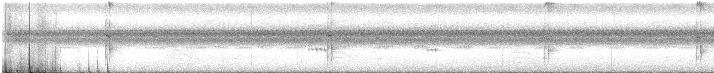 strakapoud americký - ML642408247