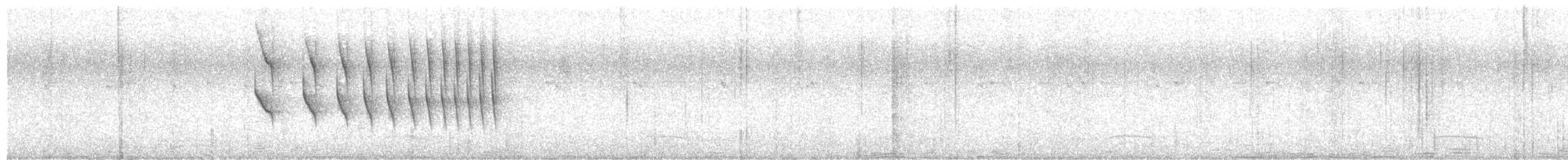 Dusky-tailed Antbird - ML642408423